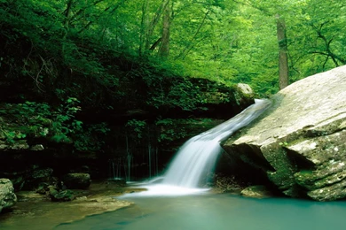 Lovely Falls Wallpapers