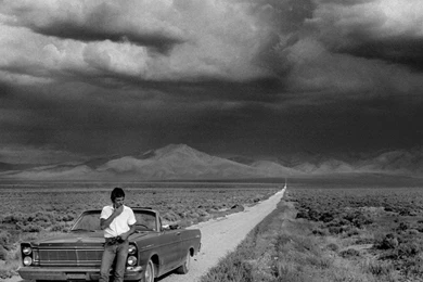 Bruce Springsteen Music Wallpapers Pictures And   (