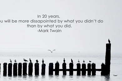 Seagulls Mark Twain Inspirational Motivation Motivational Sea ...