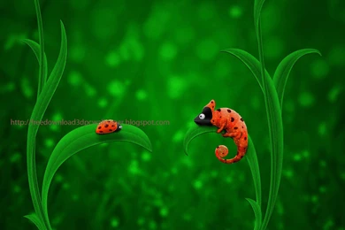 3d Wallpapers Hd For PC Free