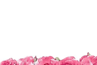 Minimal White Pink Watercolour Roses Iphone Backgrounds Phone ...