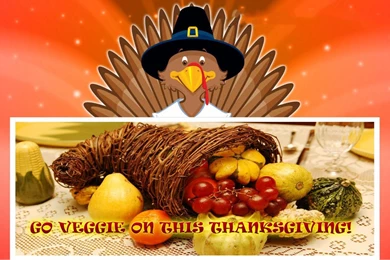 Thanksgiving Wallpapers   Android Apps On Google Play