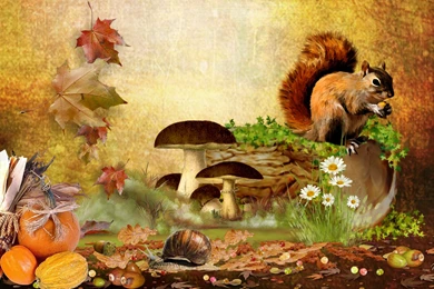 Fall With Animal Android Wallpapers Attachment 4059   Amazing ...