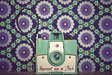Cameras And Wallpapers   Paper And Stitch