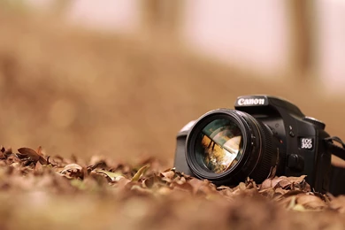 245 Camera HD Wallpapers