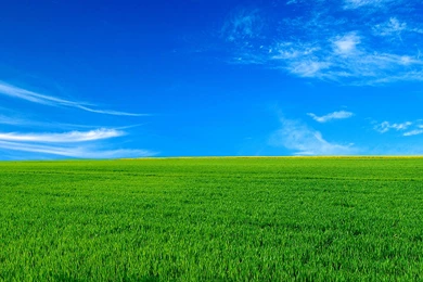 Bliss Wallpaper fBWC 26520 Hd Pictures