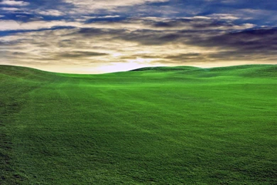 Wallpapers Bliss   Wallpapers Zone