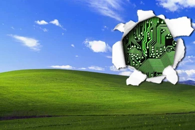 Bliss Wallpapers [12]   (