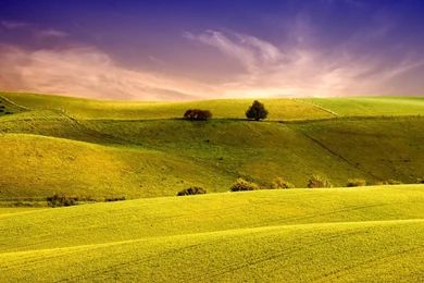 Fonds D'écran Bliss : Tous Les Wallpapers Bliss