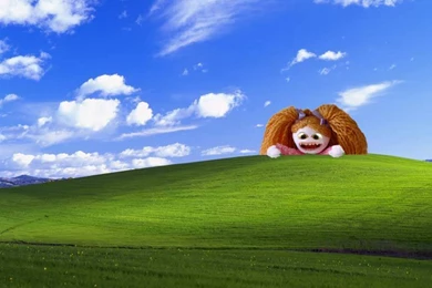 Bliss Wallpapers [14]   (