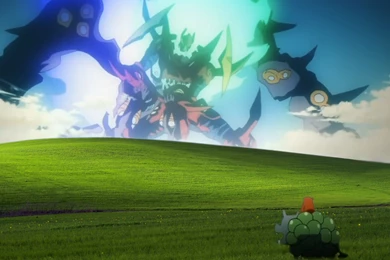 Funny Bliss Windows Wallpapers 1920x1200   (