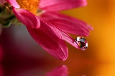 Desktop Hd Nature In Wallpapers