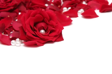 Red And White Free Wallpapers For Android