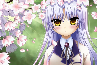 Tachibana Kanade Wallpapers