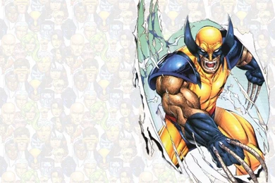 Wallpapers Wolverine Marvel Ic 800x600
