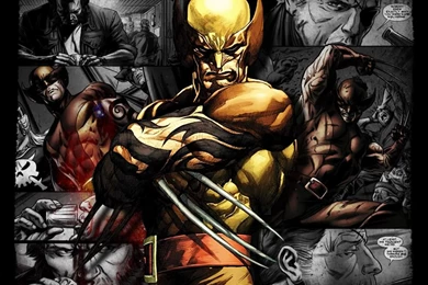 Best 5 Wolverine Comic HD Wallpapers   AN HD Wallpapers