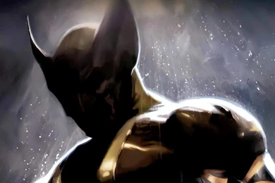 323 Wolverine HD Wallpapers