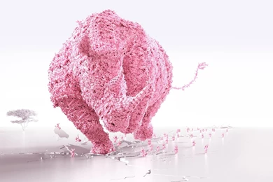 Pink Hippopotamus Creative Wallpapers