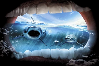 Most Creative Funny Pictures For Sharing Humor HD Wallpapers