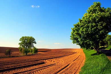 Hd Widescreen Nature Backgrounds