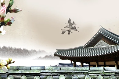 Cherry Blossoms Fog Mist Pagodas Oriental Pagoda Wallpapers ...