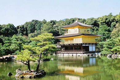 My Best Wallpapers: Lit Pagoda Wallpapers Wallpapers