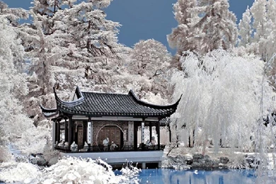 Chinese Garden With Pagoda   (