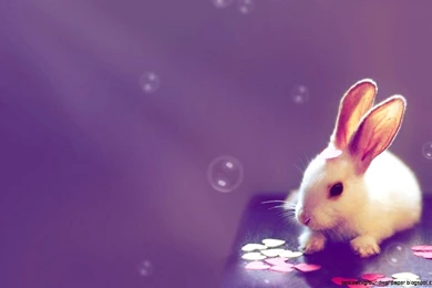 Cute Pictures For Backgrounds Desktop