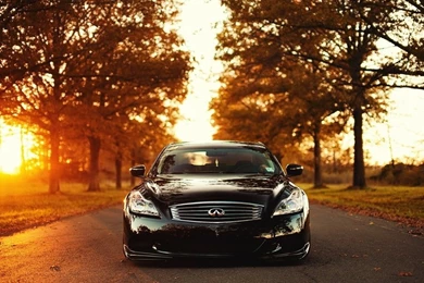 Autumn Season Cars Sunlight Infiniti Infiniti G37 1280x960 ...