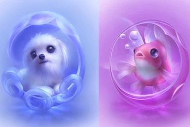 Cute Wallpapers HD Backgrounds Download Mobile iPhone 6s Galaxy ...