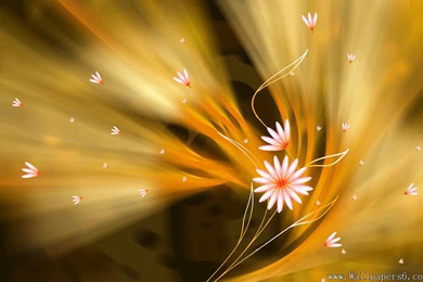 Beautiful Flowers － Design Wallpapers   Free Download Wallpapers ...