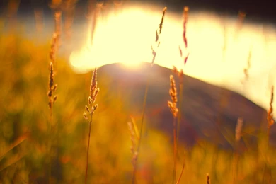 Full HD Wallpapers, 1080p, 1920x1080px   Part 13