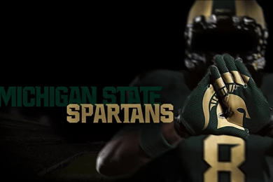 Free Michigan State Wallpapers   HD Wallpapers