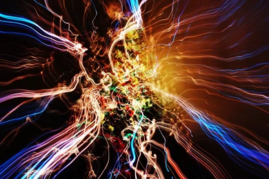 Dog Look Lights Amazing Photo