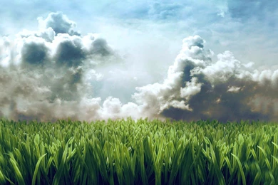 Download Free Modern Free HD The Wallpapers 1680x1050px