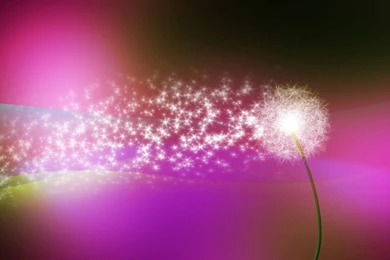 The Colorful Vision   Abstract Lights Desktops 1600x1200 NO.15 ...