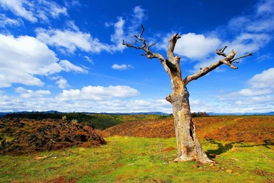 Nice Wallpapers For Desktop   Wallpapers Cave