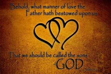 The Baptist Brethren