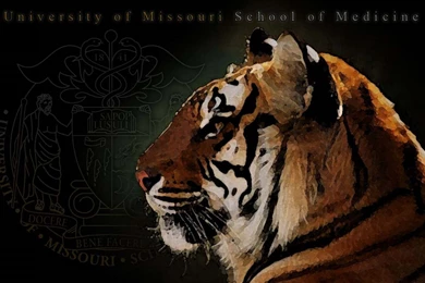 University Of Missouri   School Of Medicine   Multimedia   Image ...