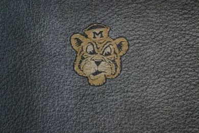 Couple Of Sports Logo Wallpapers