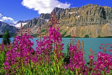 Banff National Park   (