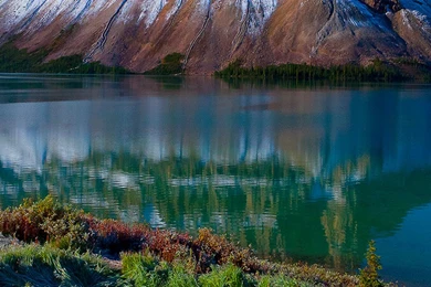 Banff National Park River iPhone 6 Plus Wallpapers