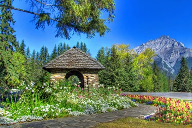 Cascade Gardens Banff National Park   (