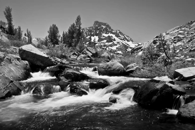 Ansel Adams: The Legend Of Landscape Photography