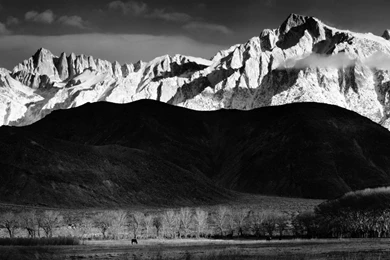 Ansel Adams Wallpapers   ImgMob