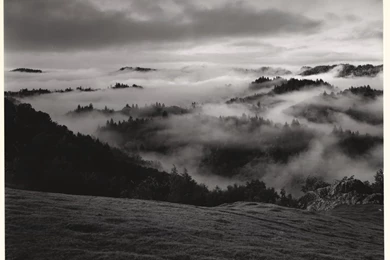 Wild Mystique: Ansel Adams Retrospective Opens At Quintenz Gallery ...