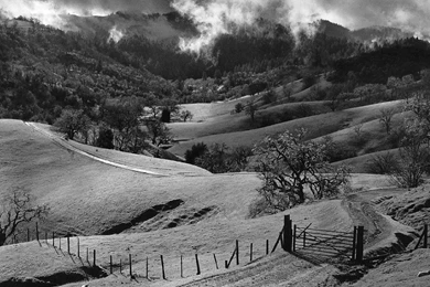 ANSEL ADAMS' World On Pinterest