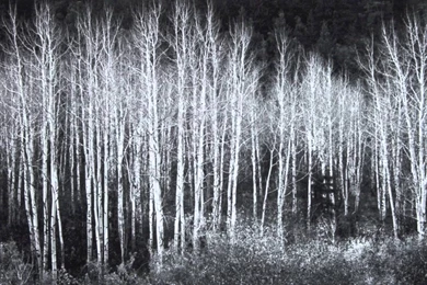 Ansel Adams.mov   YouTube