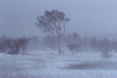 Snow Storm HD Wallpapers