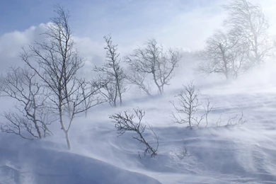 Snow Storm Desktop Wallpapers   HD Wallpaper Backgrounds Of Your ...